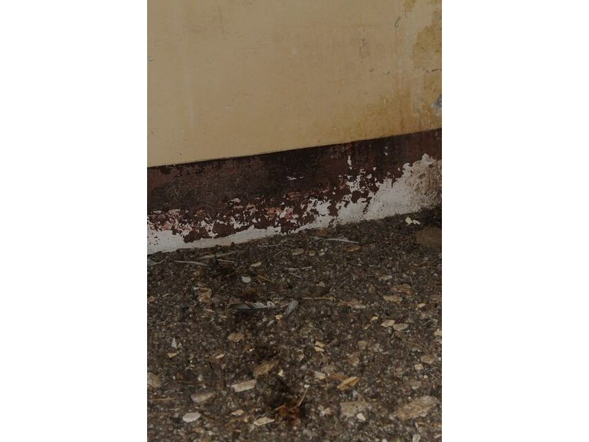 Photo Gallery House with garden in Sicily Fanara Siculiana